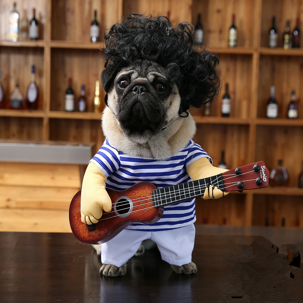 Costume de Guitariste pour Animaux