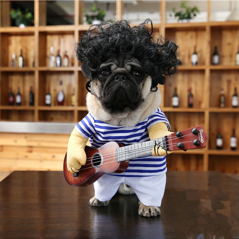Costume de Guitariste pour Animaux
