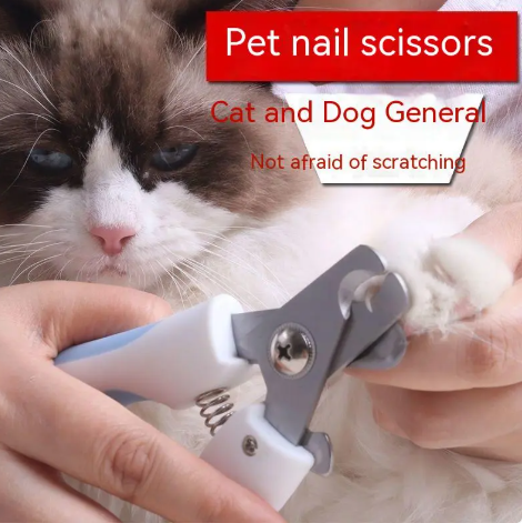 Coupe-ongles pour animaux