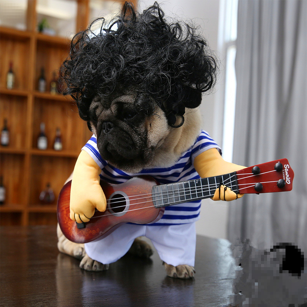 Costume de Guitariste pour Animaux